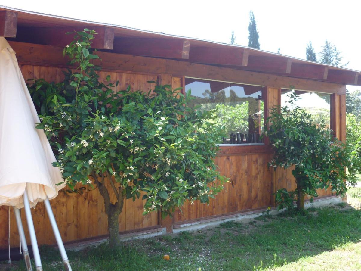 Il Frutteto Bed & Breakfast Torre delle Stelle Bagian luar foto
